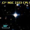 Cl* NGC 2323    CPL      48