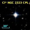 Cl* NGC 2323    CPL      49