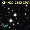 Cl* NGC 2323    CPL      51