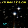 Cl* NGC 2323    CPL      52