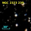 Cl* NGC 2323    BSF      12