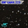 EM* LkHA  223