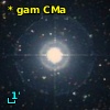 * gam CMa