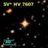 NSV  3388