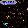 NSV  3339