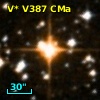 V* V387 CMa
