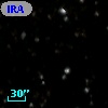 IRAS 21088+4953