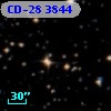 CD-28  3844