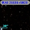 IRAS 21131+5023