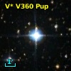 V* V360 Pup