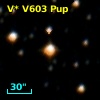 V* V603 Pup