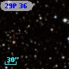 29P 36