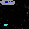 29P 37