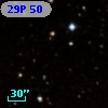 29P 50