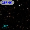 29P 66