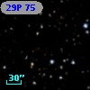 29P 75
