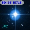 BD+36  1571B