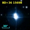 BD+36  1569B