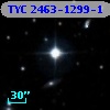 TYC 2463-1299-1
