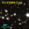 V* V1064 Cyg