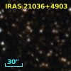 IRAS 21036+4903