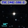 TYC 2442-586-1