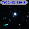 TYC 2442-590-1