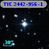 TYC 2442-956-1
