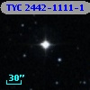 TYC 2442-1111-1