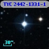 TYC 2442-1331-1