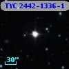 TYC 2442-1336-1