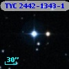 TYC 2442-1343-1