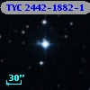 TYC 2442-1882-1