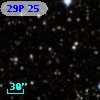 29P 25
