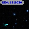 LEDA 1919030
