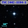 TYC 2442-1594-1