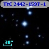 TYC 2442-1597-1
