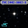TYC 2442-1662-1