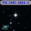 TYC 2442-1681-1