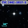 TYC 2442-1857-1