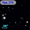 Ton  275
