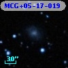 MCG+05-17-019