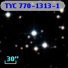 TYC  770-1313-1