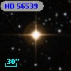 HD  56539