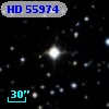 HD  55974