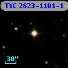 TYC 2823-1101-1