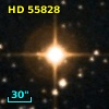HD  55828