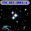 TYC  167-3081-1
