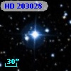 HD 203028