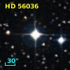 HD  56036